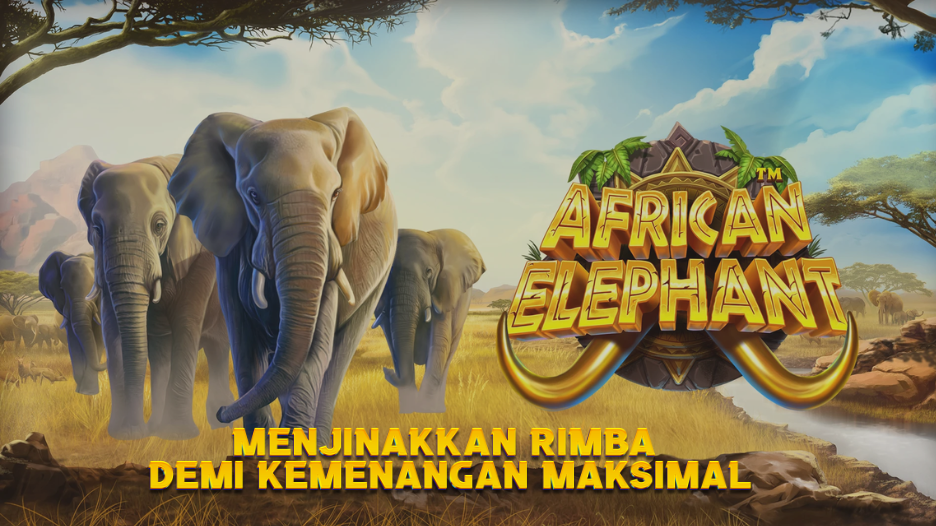 Menjinakkan Rimba Demi Kemenangan Maksimal